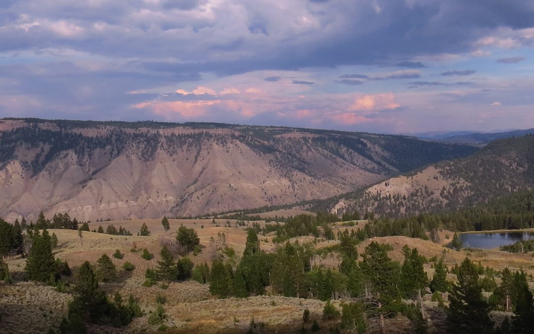 A Pictorial Love Letter to Yellowstone Park