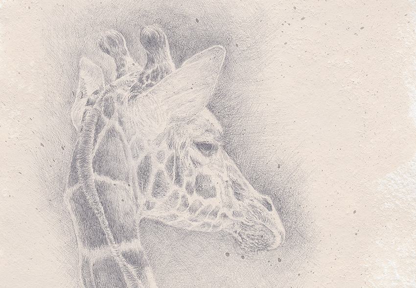 Silverpoint Adventures – the Evolution of a Technique