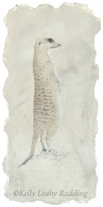 silverpoint and watercolor drawing meerkat