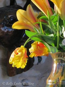 Tulip, still life, RS Hanna Gallery