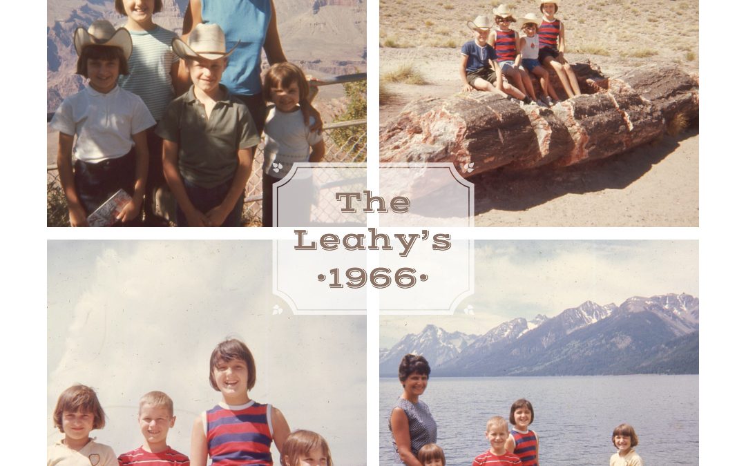 An Epic Road Trip – My American Anthology