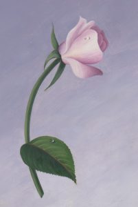 oil, paint, rose, study, rain drop